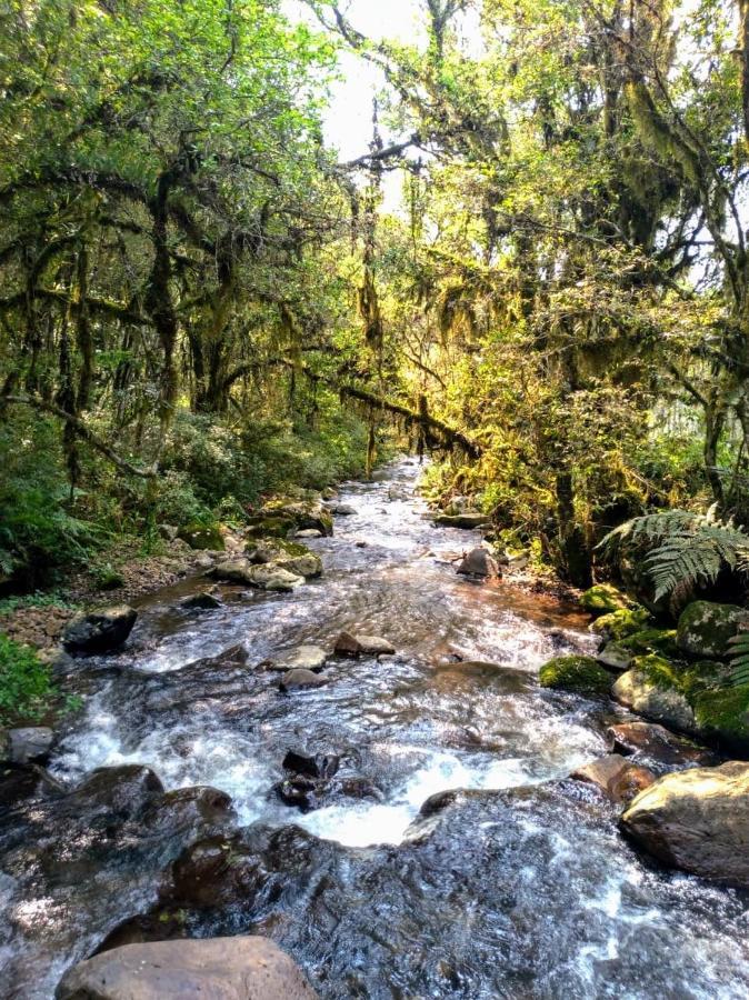 Chales Estancia Cachoeira Do Avencal Urubici Eksteriør bilde