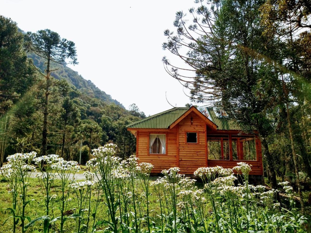 Chales Estancia Cachoeira Do Avencal Urubici Eksteriør bilde