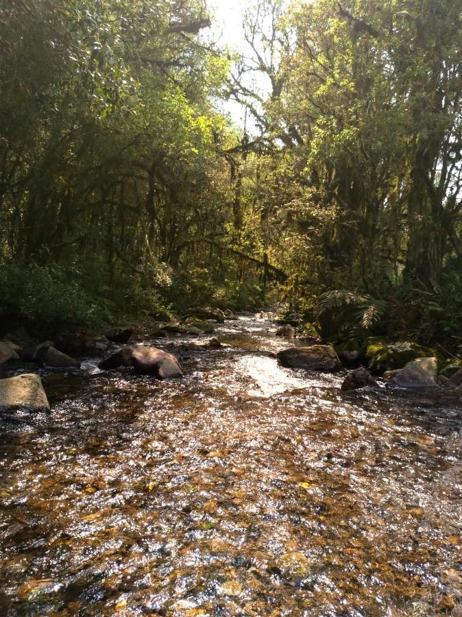 Chales Estancia Cachoeira Do Avencal Urubici Eksteriør bilde
